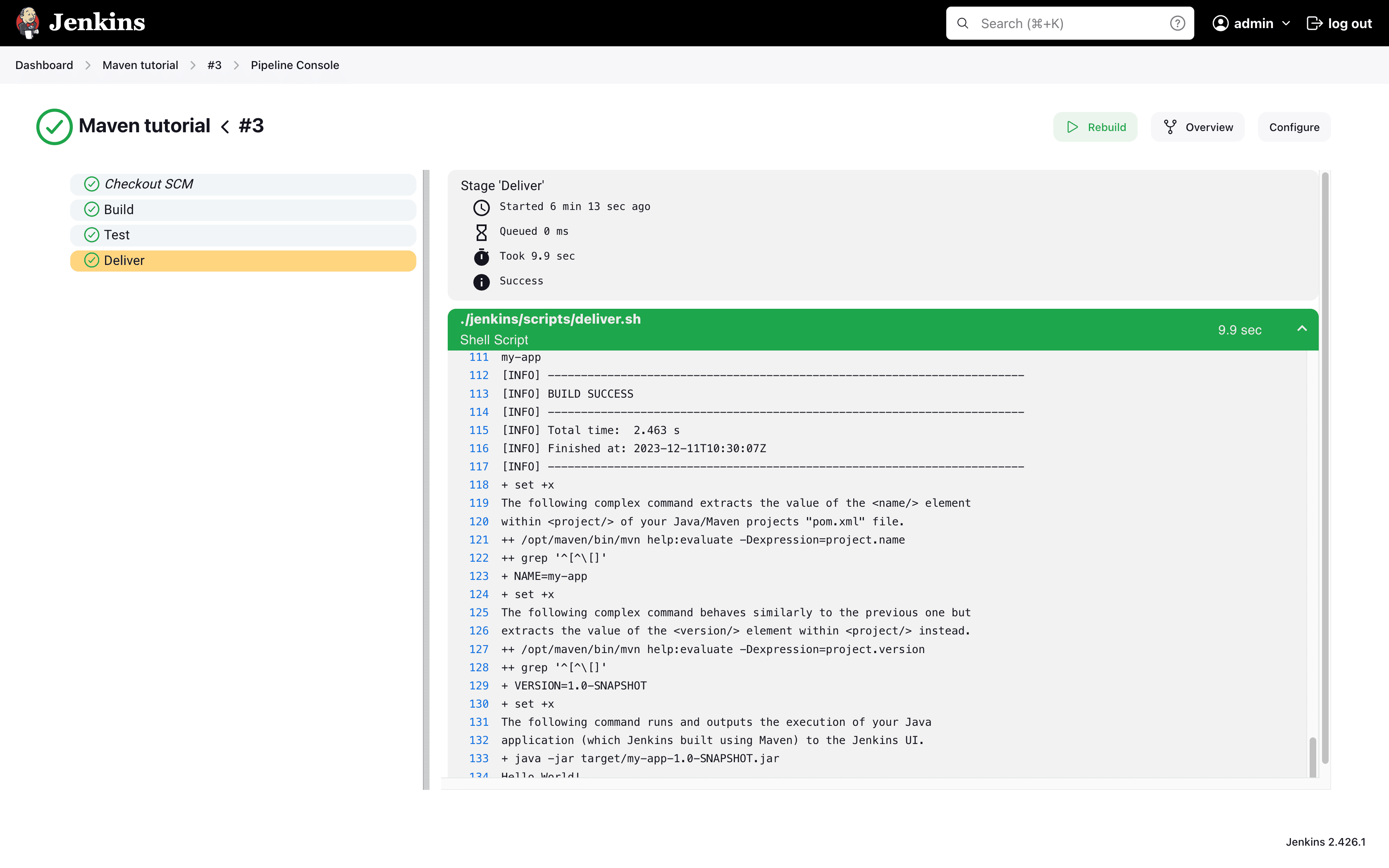 Deliver stage output only